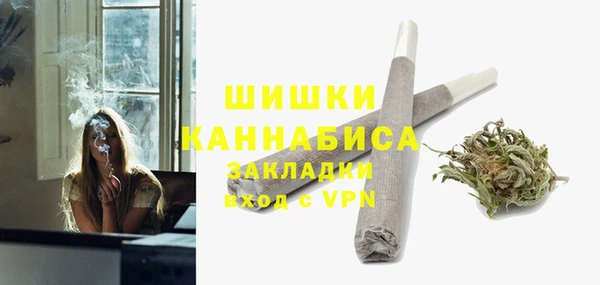 ECSTASY Вяземский