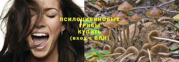 синтетический гашиш Вязьма