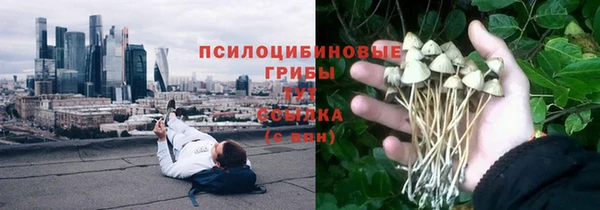 spice Володарск