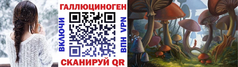 Псилоцибиновые грибы MAGIC MUSHROOMS  Завитинск 